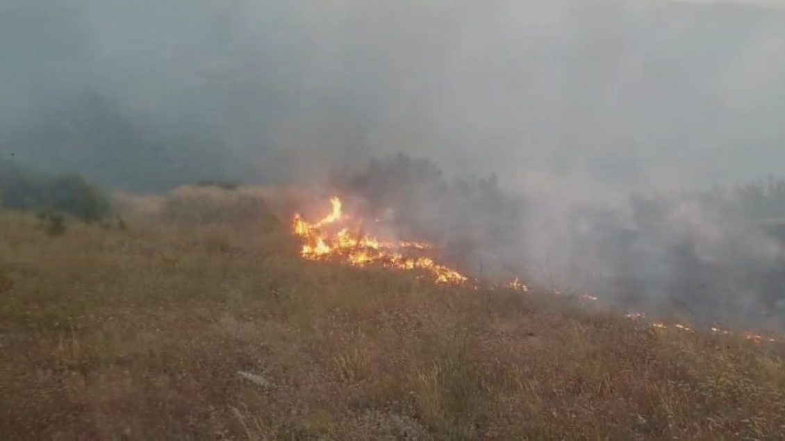 Ndezi zjarr për të djegur barishte në tokën e tij, flakët u përhapën dhe dogjën dhjetëra hektarë në Levan